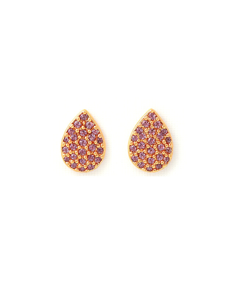 Elegant AD Stone Stud Earrings